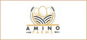 Amino Client Logo